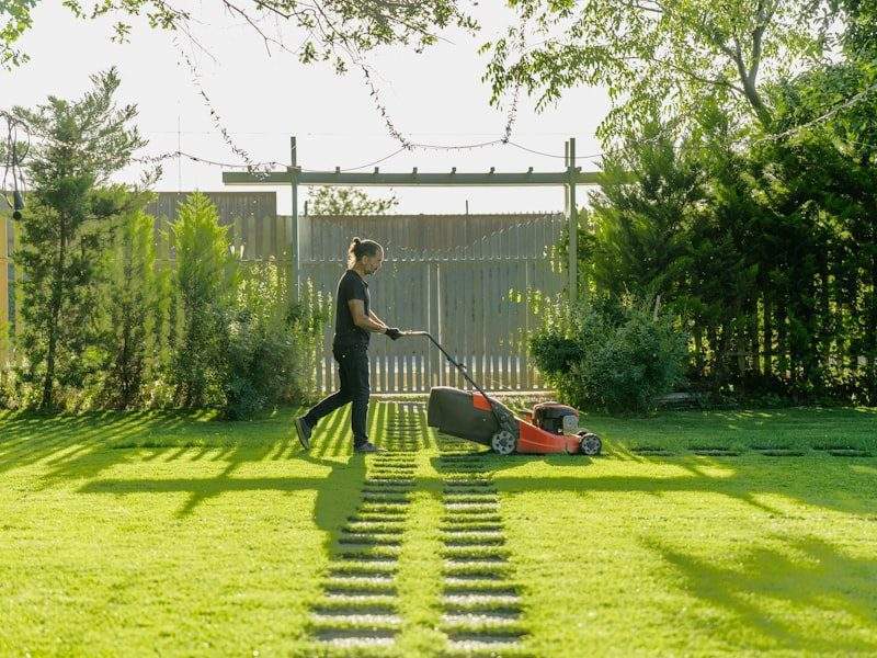 Clean yard after cleanup in Pacific Beach, CA