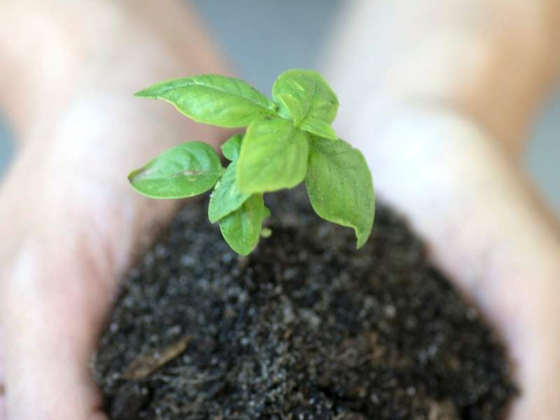 Understanding Hoarding Cleanup in Pacific Beach