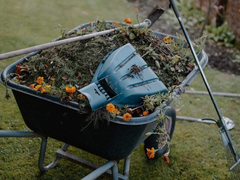 Yard waste removal in Pacific Beach, CA